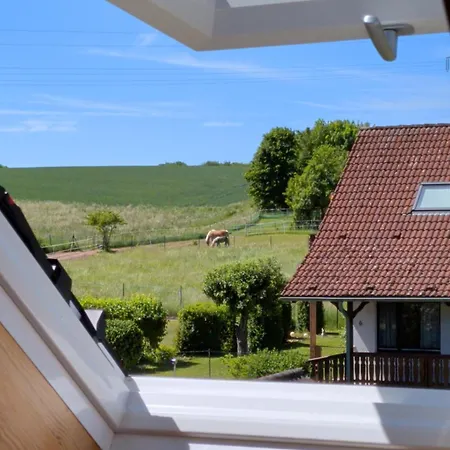 Sternenblick Am Hohen Meissner - Urlaub Mit Hund Und Familie
