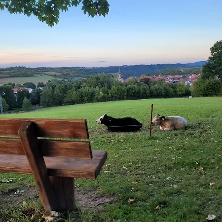 Sternenblick Am Hohen Meissner - Urlaub Mit Hund Und Familie * Abterode